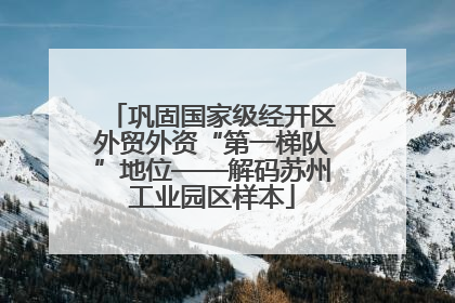 巩固国家级经开区外贸外资“第一梯队”地位——解码苏州工业园区样本