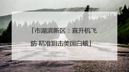 市湖滨新区：直升机飞防 精准狙击美国白蛾