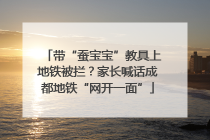 带“蚕宝宝”教具上地铁被拦？家长喊话成都地铁“网开一面”