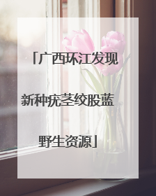 广西环江发现新种疣茎绞股蓝野生资源