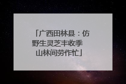 广西田林县：仿野生灵芝丰收季 山林间劳作忙