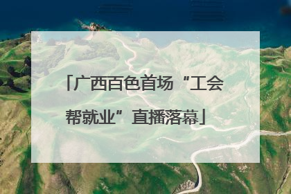广西百色首场“工会帮就业”直播落幕