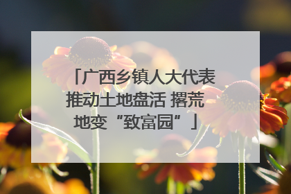 广西乡镇人大代表推动土地盘活 撂荒地变“致富园”