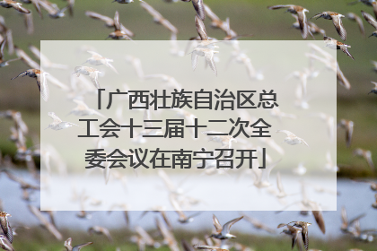 广西壮族自治区总工会十三届十二次全委会议在南宁召开