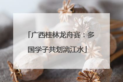 广西桂林龙舟赛：多国学子共划漓江水