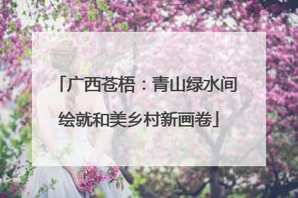 广西苍梧：青山绿水间绘就和美乡村新画卷