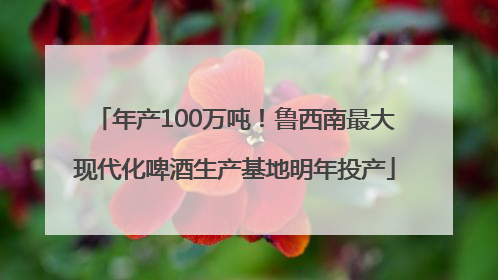 年产100万吨！鲁西南最大现代化啤酒生产基地明年投产