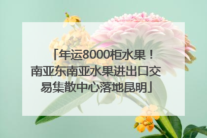 年运8000柜水果！南亚东南亚水果进出口交易集散中心落地昆明