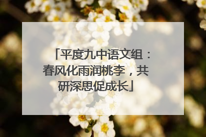平度九中语文组：春风化雨润桃李，共研深思促成长