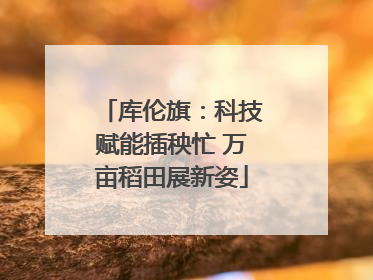 库伦旗：科技赋能插秧忙 万亩稻田展新姿