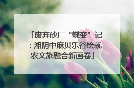 废弃砂厂“蝶变”记：湘阴中麻贝乐谷绘就农文旅融合新画卷