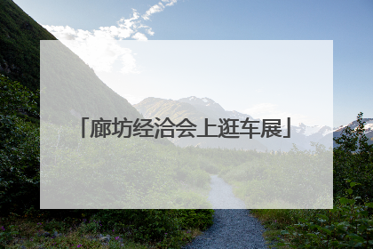 廊坊经洽会上逛车展