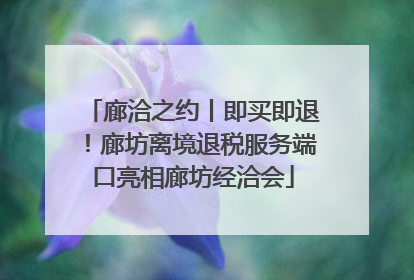 廊洽之约丨即买即退！廊坊离境退税服务端口亮相廊坊经洽会