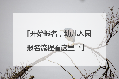 开始报名，幼儿入园报名流程看这里→