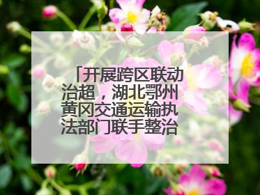 开展跨区联动治超，湖北鄂州黄冈交通运输执法部门联手整治“百吨王”