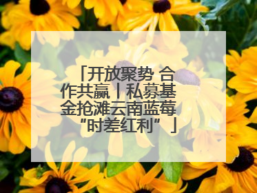 开放聚势 合作共赢丨私募基金抢滩云南蓝莓“时差红利”