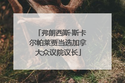 弗朗西斯·斯卡尔帕莱贾当选加拿大众议院议长
