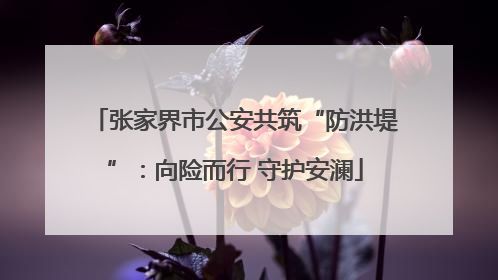 张家界市公安共筑“防洪堤”：向险而行 守护安澜