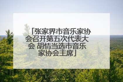 张家界市音乐家协会召开第五次代表大会 胡情当选市音乐家协会主席