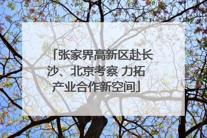 张家界高新区赴长沙、北京考察 力拓产业合作新空间