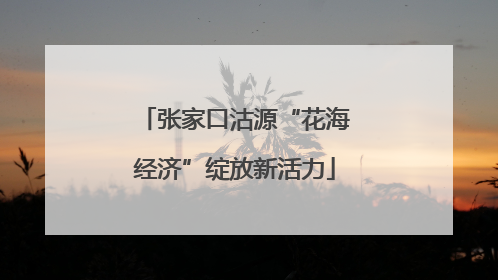 张家口沽源“花海经济”绽放新活力