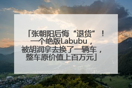 张朝阳后悔“退货”！一个绝版Labubu，被胡润拿去换了一辆车，整车原价值上百万元