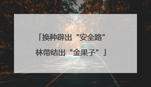 换种辟出“安全路” 林带结出“金果子”