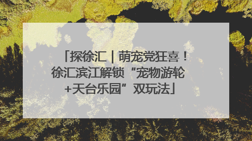 探徐汇｜萌宠党狂喜！徐汇滨江解锁“宠物游轮+天台乐园”双玩法