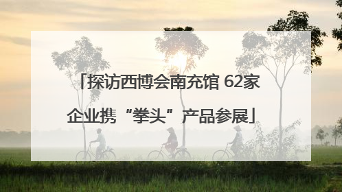 探访西博会南充馆 62家企业携“拳头”产品参展
