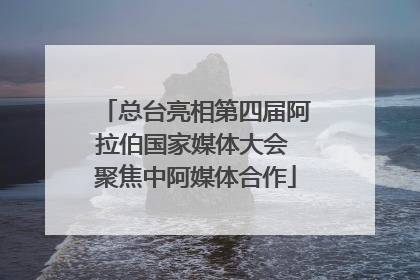 总台亮相第四届阿拉伯国家媒体大会 聚焦中阿媒体合作