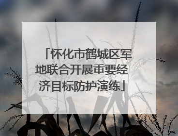 怀化市鹤城区军地联合开展重要经济目标防护演练