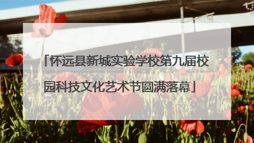 怀远县新城实验学校第九届校园科技文化艺术节圆满落幕