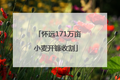 怀远171万亩小麦开镰收割