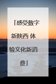 感受数字新陕西 体验文化新消费