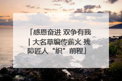 感恩奋进 双争有我｜大名草编传薪火 残障匠人“织”前程