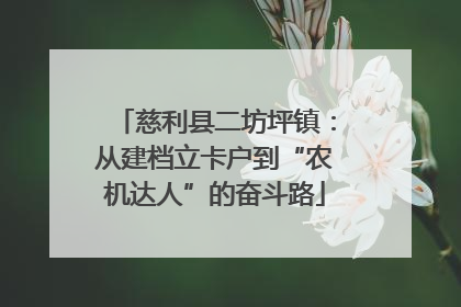 慈利县二坊坪镇：从建档立卡户到“农机达人”的奋斗路
