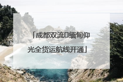 成都双流⇌缅甸仰光全货运航线开通
