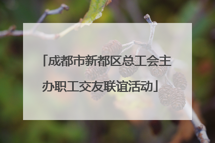 成都市新都区总工会主办职工交友联谊活动