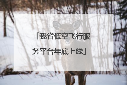 我省低空飞行服务平台年底上线