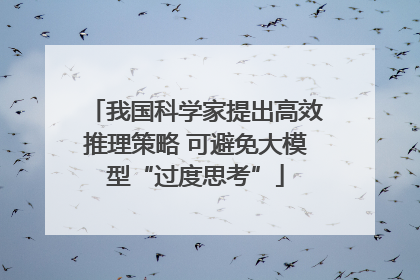 我国科学家提出高效推理策略 可避免大模型“过度思考”