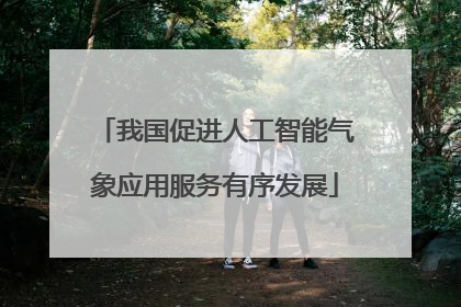 我国促进人工智能气象应用服务有序发展