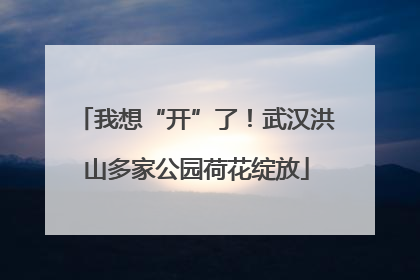 我想“开”了！武汉洪山多家公园荷花绽放