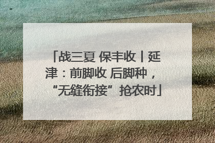 战三夏 保丰收丨延津：前脚收 后脚种，“无缝衔接”抢农时