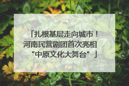 扎根基层走向城市！河南民营剧团首次亮相“中原文化大舞台”
