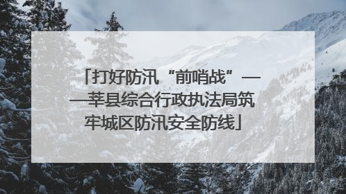 打好防汛“前哨战”——莘县综合行政执法局筑牢城区防汛安全防线