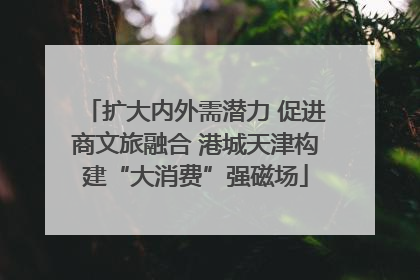 扩大内外需潜力 促进商文旅融合 港城天津构建“大消费”强磁场
