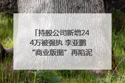 持股公司新增244万被强执 李亚鹏“商业版图”再陷泥潭？｜科技观察