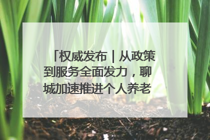 权威发布｜从政策到服务全面发力，聊城加速推进个人养老金制度落地