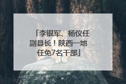 李银军、杨仪任副县长！陕西一地任免7名干部