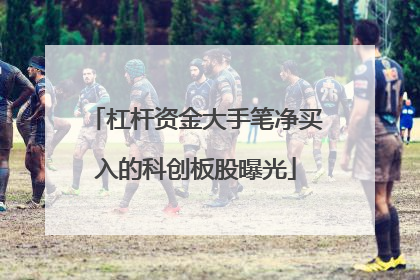 杠杆资金大手笔净买入的科创板股曝光